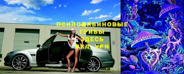 спайс Краснослободск