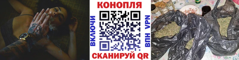 Купить  Ставрополь  Канабис сатива 